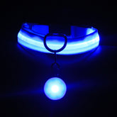 Dog Collar Luminous