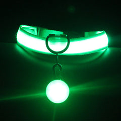 Dog Collar Luminous