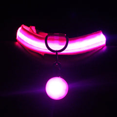Dog Collar Luminous