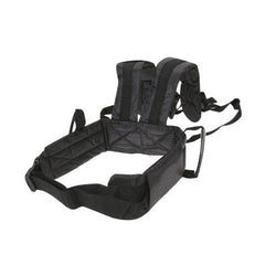 Electric car safety harness