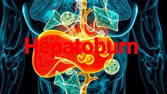 HepatoBurn -Support Rapid Detoxification