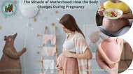 Pregnancy Miracle