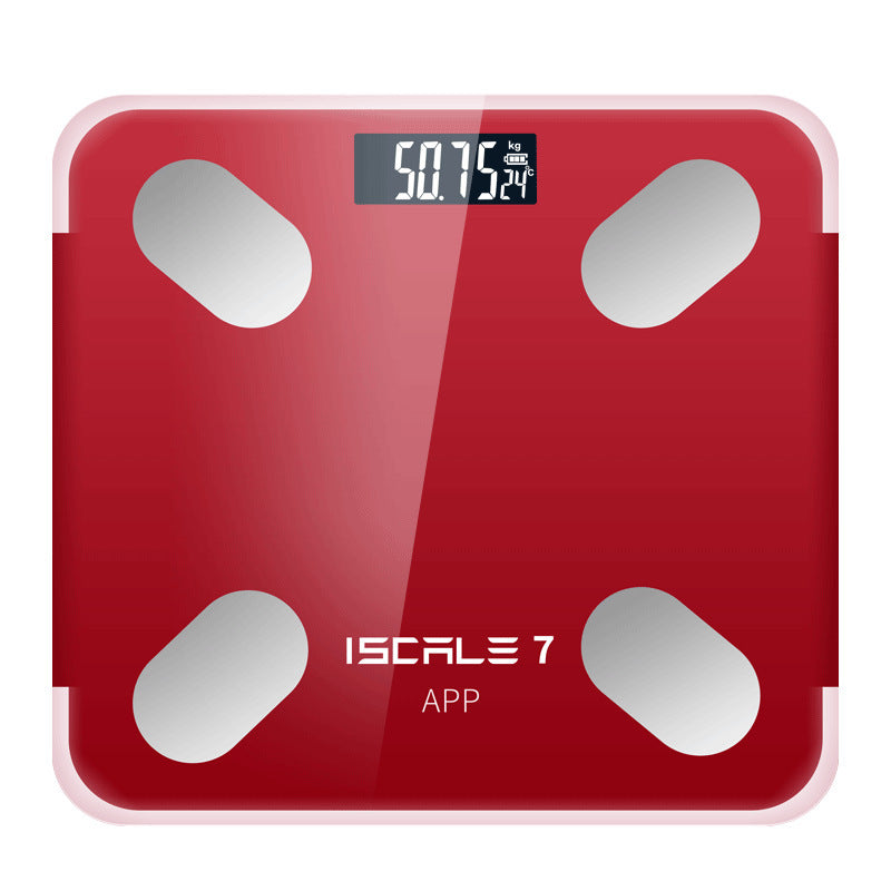 Body Scale