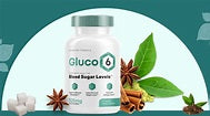 GLUCO 6