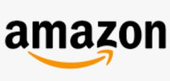 AMAZON (The Biggest Gainers in SALES)